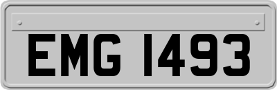 EMG1493