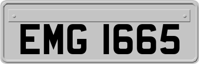 EMG1665