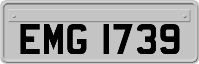 EMG1739