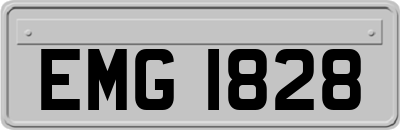 EMG1828