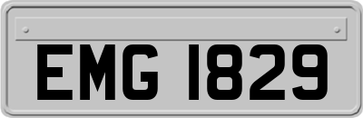 EMG1829