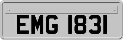 EMG1831