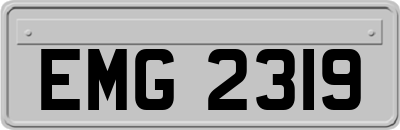 EMG2319