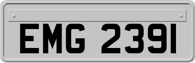 EMG2391