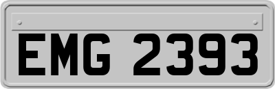 EMG2393
