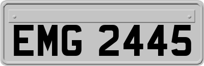 EMG2445