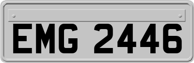 EMG2446