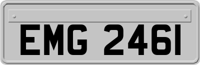 EMG2461