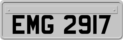 EMG2917