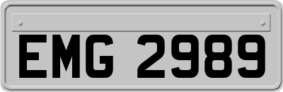 EMG2989