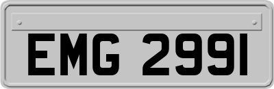 EMG2991