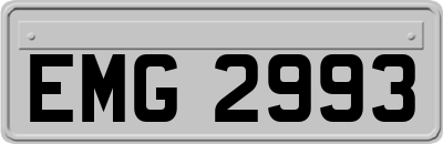 EMG2993