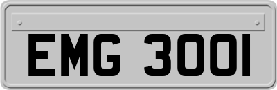 EMG3001