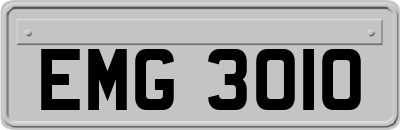 EMG3010