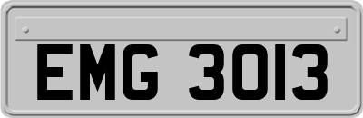 EMG3013