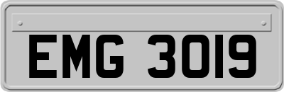EMG3019