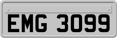 EMG3099