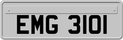 EMG3101
