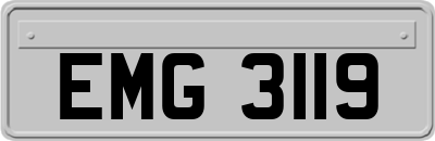 EMG3119