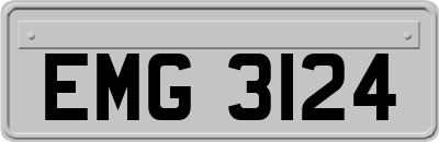 EMG3124