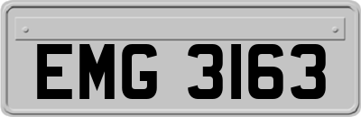 EMG3163
