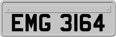 EMG3164