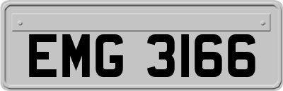 EMG3166