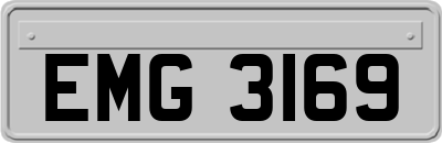 EMG3169