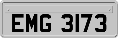 EMG3173