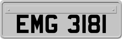 EMG3181