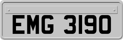 EMG3190