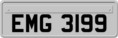 EMG3199