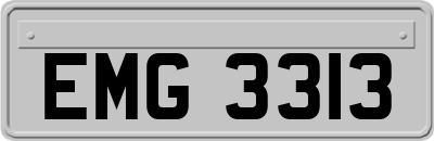 EMG3313