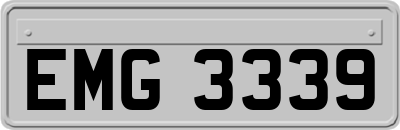 EMG3339