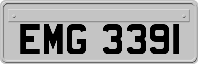 EMG3391