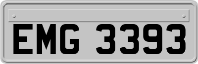 EMG3393