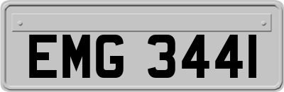 EMG3441
