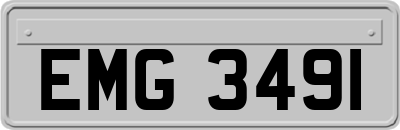 EMG3491