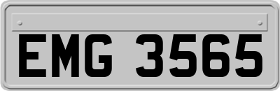 EMG3565