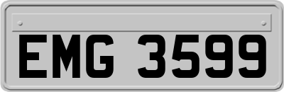 EMG3599