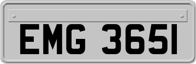 EMG3651