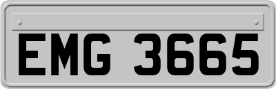 EMG3665