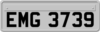 EMG3739
