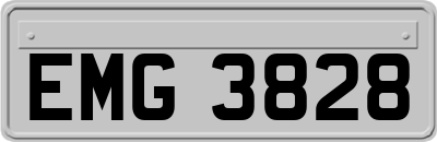 EMG3828