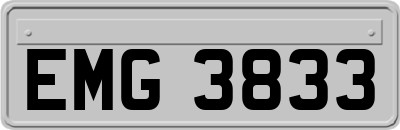 EMG3833