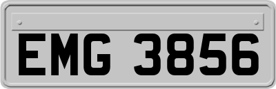 EMG3856
