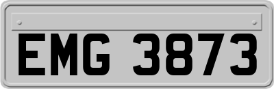 EMG3873