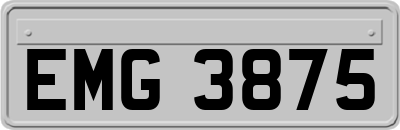 EMG3875