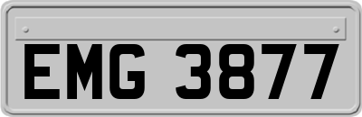 EMG3877