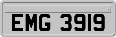 EMG3919